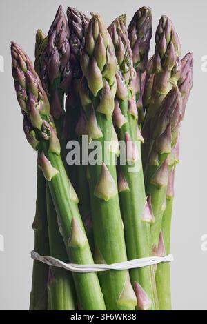 Close-up d'un nature morte d'asperges vertes à pointes violettes liées en bouquet sur fond gris Banque D'Images