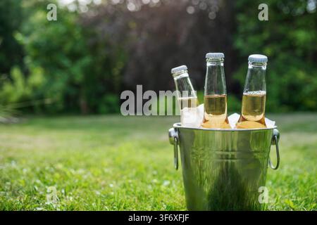 Trois bouteilles de bière en verre froides dans un seau à glace en métal avec des glaçons sur une pelouse verte de jardin. Boisson rafraîchissante d'été en plein air avec espace de copie, pique-nique Banque D'Images