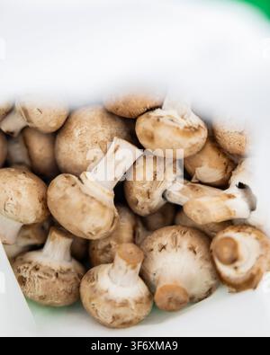 Vue aérienne en gros plan de champignons frais Banque D'Images