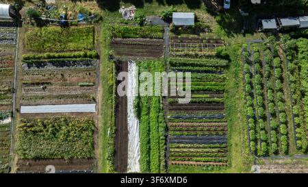 Vue aérienne d'une petite ferme avec des champs en patchwork Banque D'Images