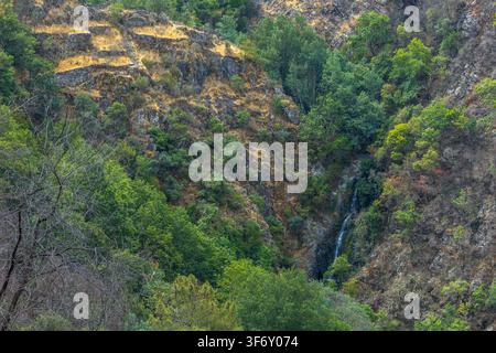 Une petite cascade cachée dévale une pente montagneuse rocheuse et boisée du centre du Portugal. Banque D'Images