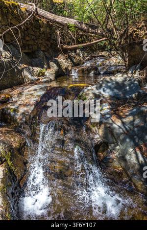 Un petit ruisseau cascade sur des rochers dans un ravin montagneux boisé avec des troncs d'arbres tombés au centre du Portugal. Banque D'Images