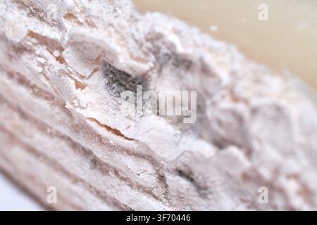 Photographie macro en gros plan extrême mettant en évidence la texture détaillée, la surface crémeuse et les veines de moisissure bleu-gris caractéristiques du Gorgonzola Banque D'Images