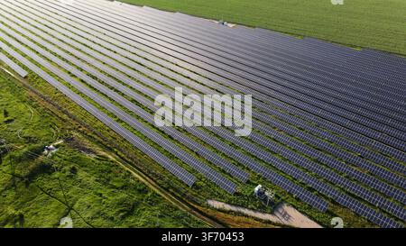 Vue aérienne d'une ferme solaire produisant de l'énergie propre, rangées de panneaux photovoltaïques dans un champ vert Banque D'Images
