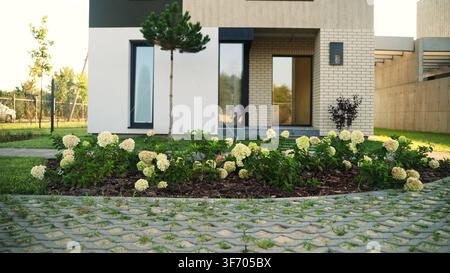 Façade de maison moderne avec jardin bien entretenu, hortensias décoratifs et pavage en grille de béton vert Banque D'Images