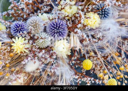 Macro du bouquet séché avec arrangement d'épervière et de fleurs de paille. Banque D'Images