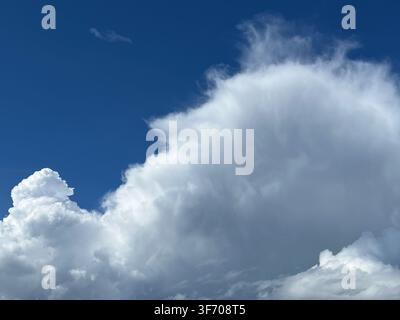 Les cumulus sur fond de ciel bleu Banque D'Images