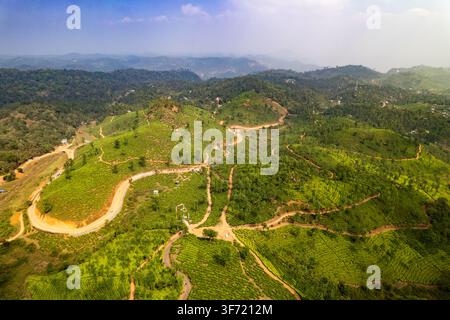 Vue aérienne des plantations de thé luxuriantes et des routes sinueuses dans le paysage vallonné de Vythiri, Kerala, Inde. Banque D'Images