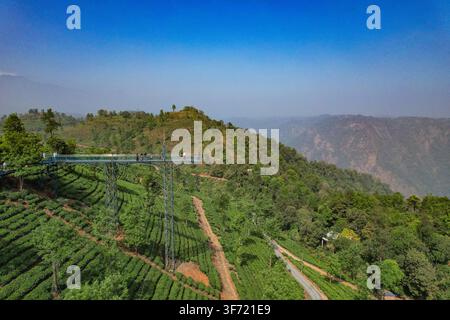Vue aérienne du pont en verre s'étendant au-dessus de luxuriantes plantations de thé vert dans les collines de Vythiri, Kerala, Inde. Banque D'Images