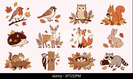Adorables animaux vectoriels de la forêt automnale, oiseaux de la forêt, renard, cerf et éléments d'automne isolés sur fond clair. Illustration de Vecteur