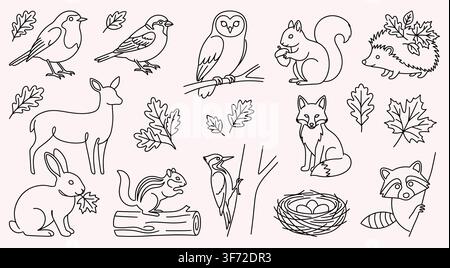 Illustration vectorielle en lignes d'animaux des bois en automne, oiseaux de la forêt, renard, cerf et feuilles d'automne isolés sur fond blanc. Illustration de Vecteur