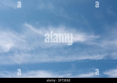 Des nuages cirrus blancs légers créent un motif doux et aéré contre un ciel bleu clair d'été Banque D'Images