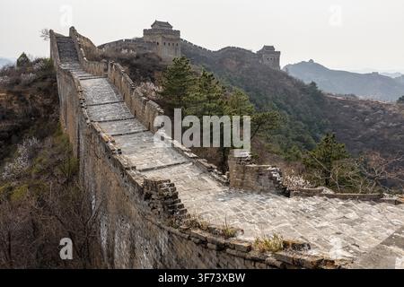 Cette vue de la Grande Muraille de Chine met en avant la section de Jinshanling, connue pour son mélange de remparts bien restaurés et de tours de guet d'origine, « sauvages » Banque D'Images