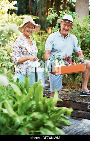 Portrait, retraite et couple avec des légumes pour le passe-temps de jardinage, lien et produits naturels. Heureux, mariage et homme et femme âgés avec une boîte Banque D'Images