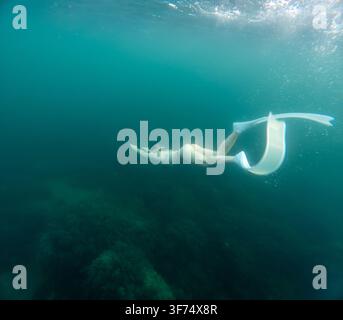 Apnéiste nageant dans les eaux turquoise profondes de l'océan portant de longues palmes blanches et un bikini Banque D'Images
