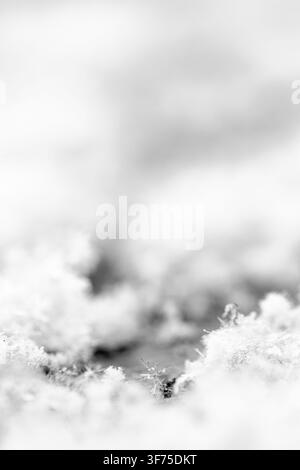 Motifs délicats de flocons de neige reposant sur un sol gelé, textures blanches floues et structures cristallines glacées, une composition lumineuse monochrome en haut de gamme douce Banque D'Images
