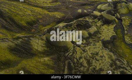 Vue aérienne de rochers de basalte érodés densément recouverts de mousse jaune-verte avec de l'eau sombre s'accumulant entre les roches. Banque D'Images