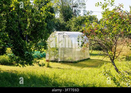 Petite serre moderne située dans un jardin arrière verdoyant entouré d'arbres fruitiers et d'herbe. Banque D'Images