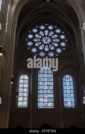 Vitrail rose, cathédrale de Chartres, Val de Loire, France. Banque D'Images