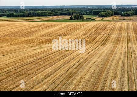 Vue aérienne de vastes champs récoltés et de motifs de terres agricoles ondulants à travers la campagne Banque D'Images