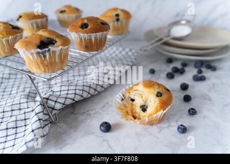 Muffins aux myrtilles faits maison servis avec des myrtilles éparpillées sur un fond de marbre propre à la lumière naturelle Banque D'Images