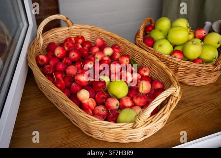 Deux paniers en osier débordant d'un mélange de petites pommes rouges et de plus grosses pommes vertes reposent sur une surface en bois, peut-être près d'une fenêtre, mettant en valeur une récolte abondante Banque D'Images