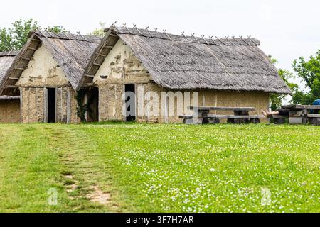 Des cottages en boue au toit de chaume se dressent sur un champ verdoyant à côté de tables de pique-nique en bois, évoquant l'histoire rurale, la simplicité et les loisirs en plein air dans une reconstruction Banque D'Images