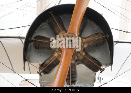 Détail d'ingénierie complexe du nez d'un avion du début du XXe siècle montrant une hélice en bois et un moteur refroidi par air multicylindre Banque D'Images