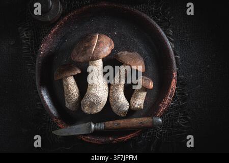 Champignons frais et sauvages cueillis dans une forêt de feuillus. Récolte d'automne en forêt. Banque D'Images