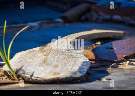 Pagaie en bois rustique amazonienne au coucher du soleil reposant sur le sol Banque D'Images