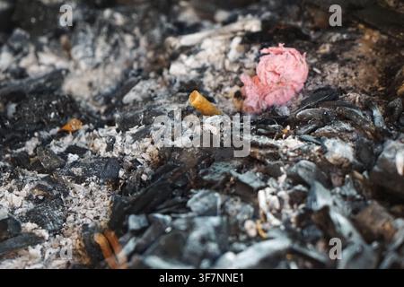 gros plan de charbon de bois brûlé et de cendre montrant une texture rugueuse et un motif naturel. Banque D'Images