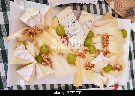 Un tableau appétissant d'assortiment de fromages artisanaux repose sur un plateau blanc placé sur une nappe traditionnelle à carreaux verts et blancs. Banque D'Images