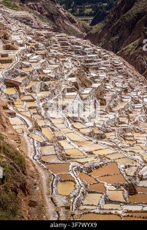 Étangs salants en terrasses traditionnels de Salineras de Maras dévalant le flanc des Andes avec des couleurs minérales vibrantes et un paysage de vallée dramatique Banque D'Images
