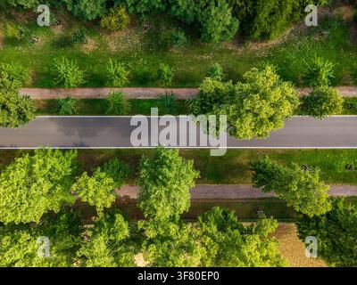 Vue par drone de dessus montrant une route asphaltée incurvée à travers un parc verdoyant, encadrée par des arbres matures, des pelouses et des haies taillées. Scène estivale mettant en valeur la propreté Banque D'Images