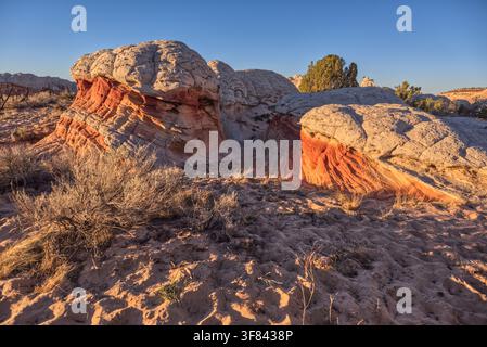 Formations de grès colorées à White Pocket créant des formes et des motifs uniques sous la lumière du soleil sur le plateau de Paria en Arizona Banque D'Images