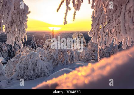 Une forêt enneigée gelée captant la lumière du lever du soleil en Finlande avec des arbres recouverts de blanc et une lueur chaude remplissant le ciel Banque D'Images
