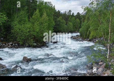 Vue d'une rivière impétueuse à travers une forêt dans la région de Tysfjorden près de Musken en Norvège Banque D'Images