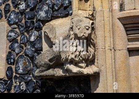 Sculpture ou gravure de lion en calcaire sur l'extérieur de St. Peter's by the Waterfront, également connue sous le nom de St. Peter's Church dans la ville d'Ipswich, dans le Suffolk Banque D'Images