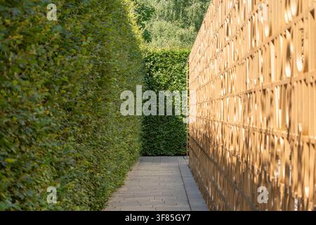Un chemin de pierre serpente entre une haie verte dense et un grand écran en lattes de bois. La lumière du soleil filtre à travers les arbres éloignés au bout du passage. Banque D'Images