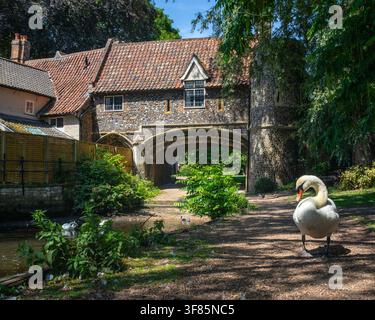 Vue pittoresque de Pull's Ferry – la porte d'eau historique en silex du XVe siècle sur la rive de la rivière Wensum à Norwich, Norfolk, Royaume-Uni. Banque D'Images