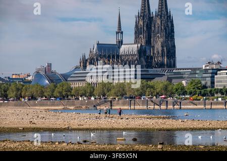 Niveaux d'eau bas sur le Rhin près de Cologne ; vue vers le sud depuis la rive droite du Rhin au Rheinpark ; le centre-ville avec la cathédrale ; Banque D'Images