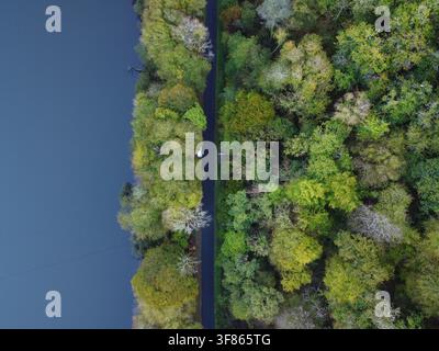 Vue aérienne de la rivière Dordogne coulant le long d'une forêt dense et d'une route étroite à Argentat-sur-Dordogne, Nouvelle-Aquitaine, France. Banque D'Images