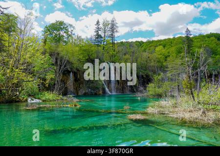 Beau lac vert profond dans le parc national des lacs de Plitvice en Croatie avec de petits poissons sombres nageant devant l'image. Banque D'Images
