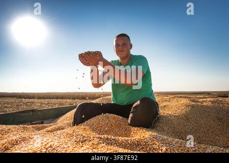 Jeune fermier tenant des grains de maïs dans ses mains alors qu'il est assis sur une remorque chargée de maïs récolté dans un champ agricole rural. Lumière vive, b Banque D'Images