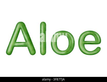 Texte créatif dessiné à la main à l'aquarelle en vert mot Aloe isolé sur fond blanc. Concept de lettrage organique pour une marque de cosmétiques botaniques et une p saine Banque D'Images