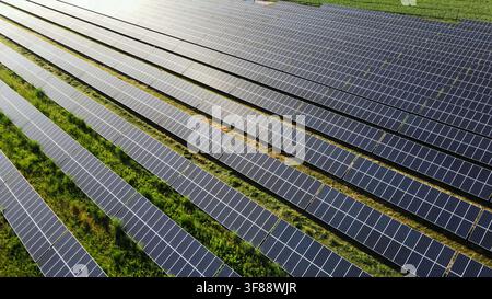 Ferme solaire générant de l'énergie renouvelable propre à partir du soleil, avec des panneaux solaires disposés en longues rangées sur de l'herbe verte Banque D'Images