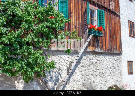 Façade en bois rustique d'une maison alpine avec une petite échelle pour chat et des fleurs rouges sous un ciel ensoleillé d'été. Banque D'Images