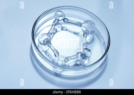 Structure moléculaire en verre à l'intérieur d'une boîte de Pétri représentant la science Banque D'Images