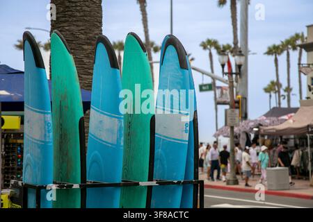 Rangeée de planches de surf à toit souple bleu-vert rangées debout dans un support en métal noir à l'extérieur près d'une rue côtière. Cinq planches colorées Banque D'Images