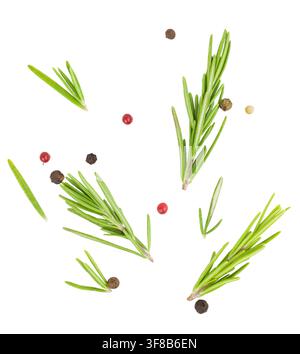 Brins de romarin frais avec grains de poivre colorés isolés sur fond blanc Banque D'Images